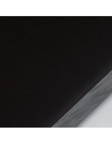 Placa P.E. 300 negro